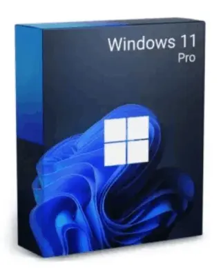 Windows 11 Pro 